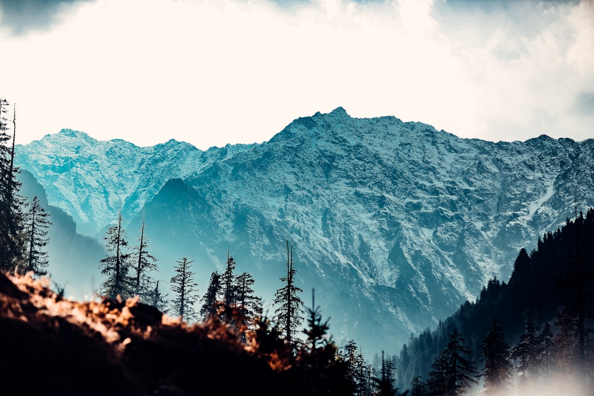 Harbord Street Toronto education district near the University of Toronto